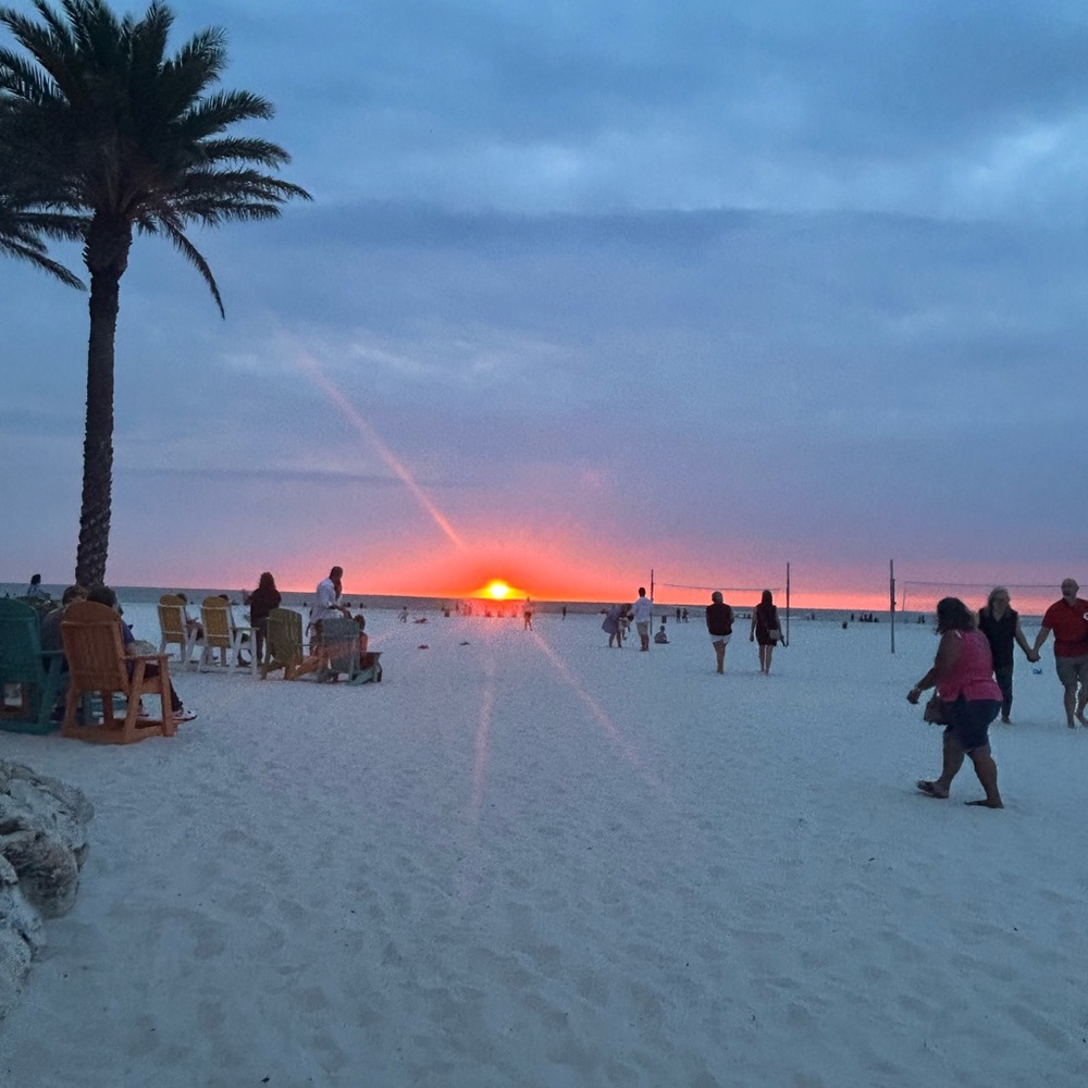 Meet your Posher, Linnea